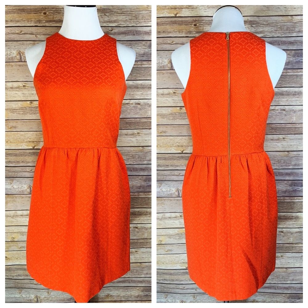 Cynthia Steffe Bright Orange Textured Dress